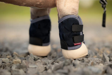 LeMieux Toy Pony Travel Set Navy| Online For Equine