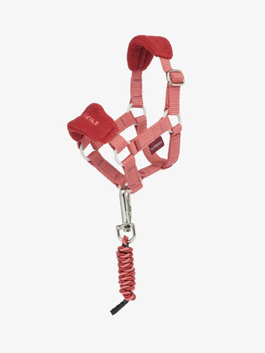LeMieux Toy Pony Vogue Headcollar & Leadrope Spiced Earth| Online For Equine