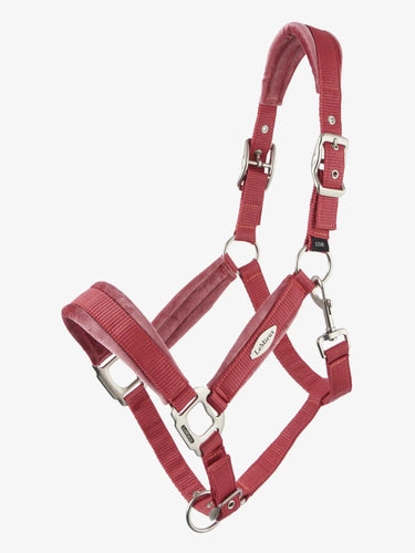 LeMieux Versailles Headcollar Cranberry| Online For Equine