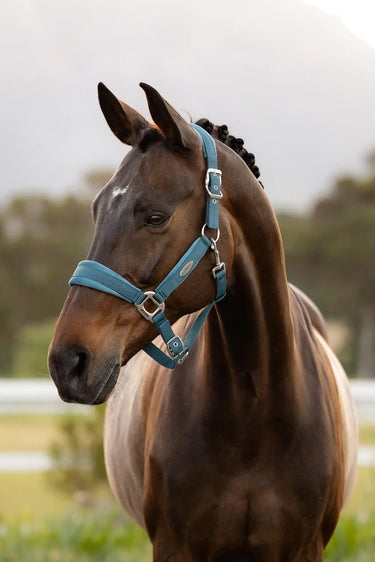 LeMieux Versailles Headcollar Jungle| Online For Equine