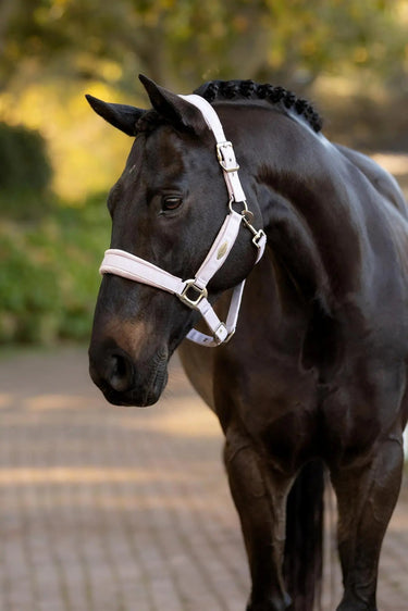 LeMieux Versailles Headcollar Lilac