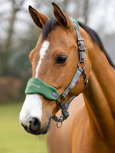LeMieux Vogue Fleece Hunter Green Headcollar & Leadrope Set| Online For Equine