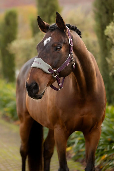 LeMieux Vogue Headcollar & Leadrope Damson| Online For Equine