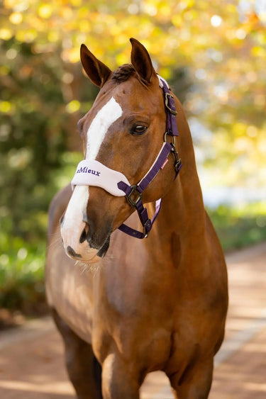 LeMieux Vogue Headcollar & Leadrope Juniper| Online For Equine