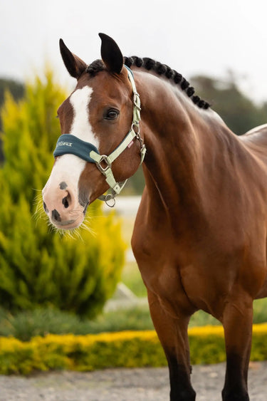 LeMieux Vogue Headcollar & Leadrope Macaron| Online For Equine