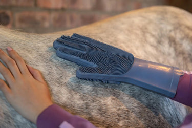 LeMieux Washing Glove Powder Blue| Online For Equine