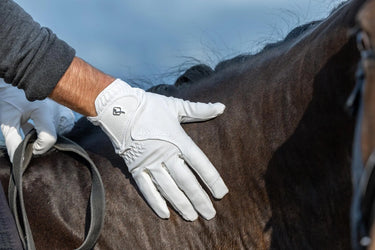 Buy the Lemieux White Close Contact Gloves | Online for Equine