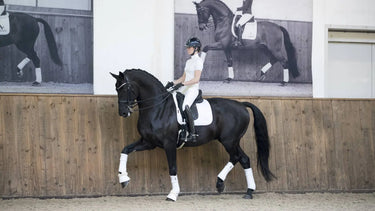 LeMieux White Loire Classic Dressage Square| Online For Equine