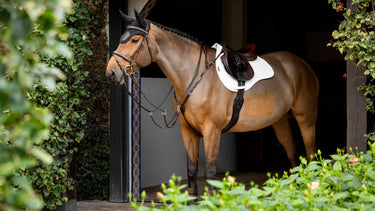 Buy LeMieux White ProSorb Plain 2 Pocket GP Square| Online for Equine