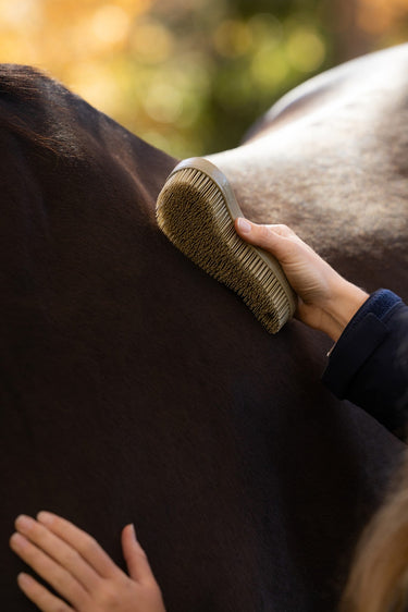 LeMieux Wild Rose/BlackBerry/Willow Wizard Brush Trio Wild Rose/Blackberry/Willow| Online For Equine