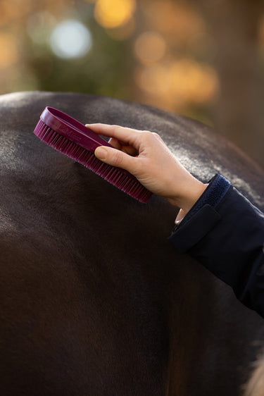 LeMieux Wild Rose/BlackBerry/Willow Wizard Brush Trio Wild Rose/Blackberry/Willow| Online For Equine