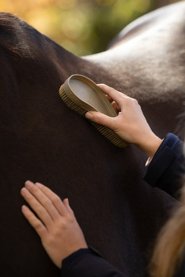LeMieux Wild Rose/BlackBerry/Willow Wizard Brush Trio Wild Rose/Blackberry/Willow| Online For Equine