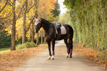 LeMieux Wild Rose Essence Dressage Square Wild Rose| Online For Equine