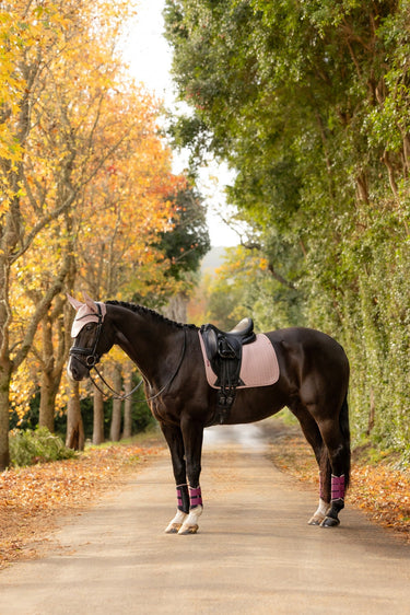 LeMieux Wild Rose Essence Dressage Square Wild Rose| Online For Equine