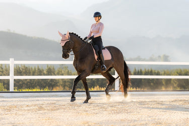 LeMieux Wild Rose Essence Dressage Square Wild Rose| Online For Equine