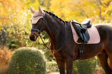 LeMieux Wild Rose Essence Fly Hood Wild Rose| Online For Equine