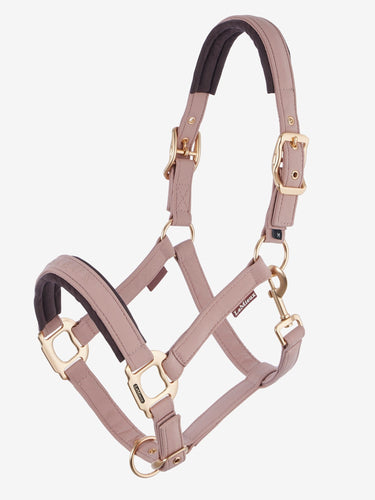 LeMieux Wild Rose Essence Headcollar Wild Rose| Online For Equine