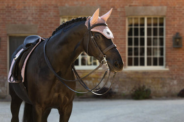 LeMieux Wild Rose Heritage Fly Hood Wild Rose| Online For Equine
