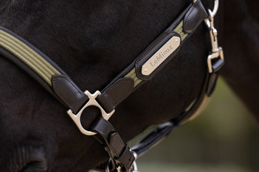 LeMieux Willow Green Capella Headcollar Willow Green| Online For Equine
