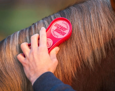 Buy LeMieux Wizard Brush - Size Pack of 3| Online for Equine