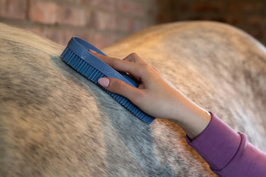LeMieux Wizard Brush Trio Powder Blue/Grey/Mallow| Online For Equine