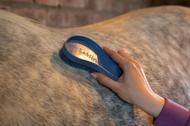 LeMieux Wizard Brush Trio Powder Blue/Grey/Mallow| Online For Equine