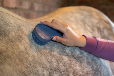 LeMieux Wizard Brush Trio Powder Blue/Grey/Mallow| Online For Equine