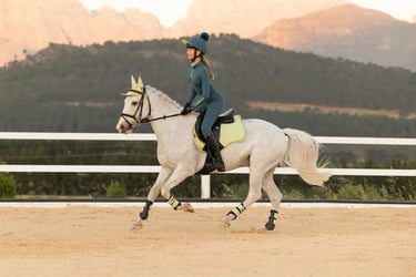 LeMieux Young Rider Classique Base Layer Jungle| Online For Equine