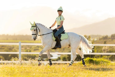 LeMieux Young Rider Mia Mesh Base Layer Macaron| Online For Equine