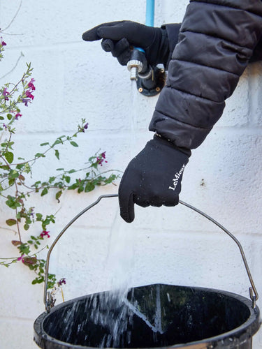 LeMieux x Sealskinz Lightweight Waterproof Gloves Black| Online For Equine
