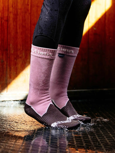 LeMieux x Sealskinz Waterproof Socks Dusty Pink| Online For Equine