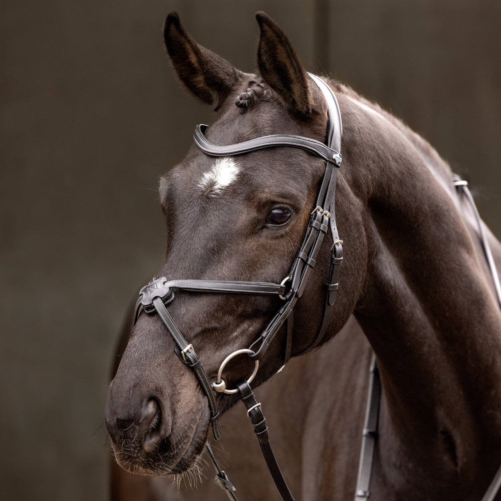 Online For Equine | Spend Less, Ride More | Horse Riding Supplies