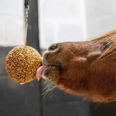 Likit Granola Stall Ball| Online For Equine