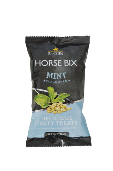 Lincoln Horse Bix| Online For Equine