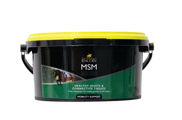 Lincoln MSM| Online For Equine