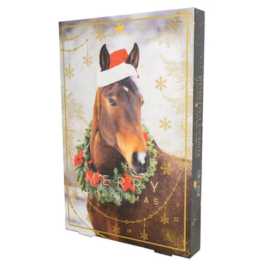 Lincoln Mince Pie Treats Christmas Advent Calendar | Online for Equine