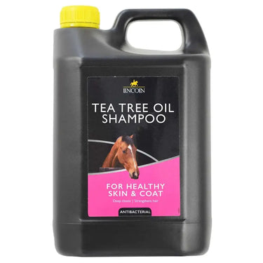 Lincoln Tea Tree Oil Shampoo| Online For Equine