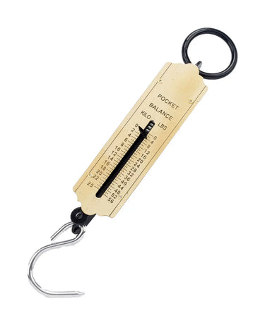 Buy Lincoln Traditional Spring Balance| Online for Equine