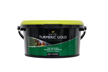 Lincoln Turmeric Gold| Online For Equine