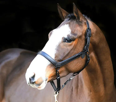 Buy Liveryman Clipping Headcollar | Online for Equine