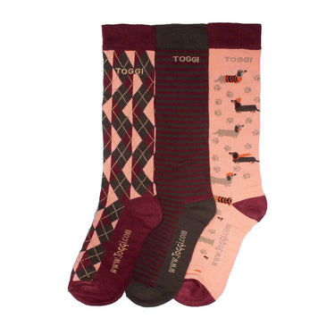 Buy Toggi Loughty Womens 3 pack socks | Online for Equine