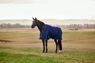 Weatherbeeta Comfitec Prelim Turnout 220G Navy Embossed Plaid