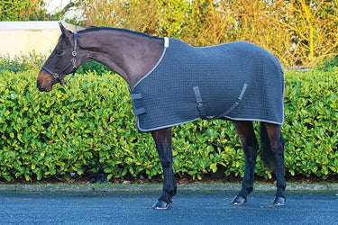Buy Mackey Aran Thermo Rug | Online for Equine
