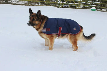 Buy Mackey Buster Dog Coat | Online for Equine