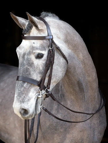 Buy Mackey Classic Double Bridle | Online for Equine