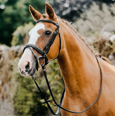 Buy Mackey Classic Flash Bridle | Online for Equine