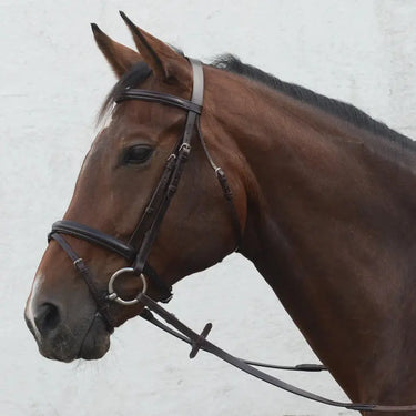 Buy Mackey Classic Flash Bridle | Online for Equine