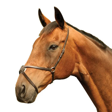 Buy Mackey Classic Grackle Noseband | Online for Equine