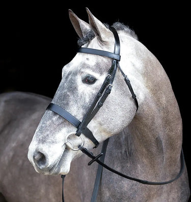 Buy Mackey Classic Hunt Bridle | Online for Equine