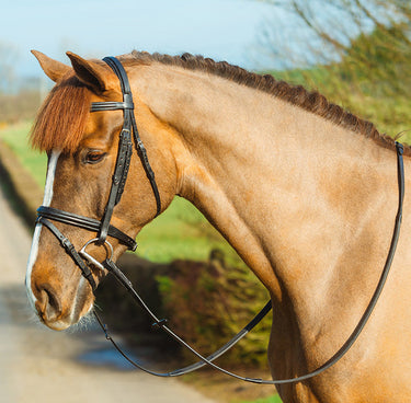 Buy Mackey Classic Padded Flash Bridle | Online for Equine